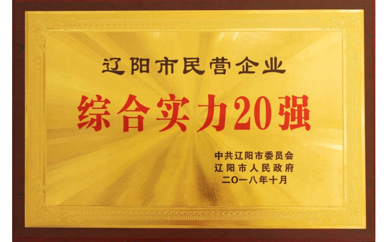 2018辽阳市民营企业综合实力20强